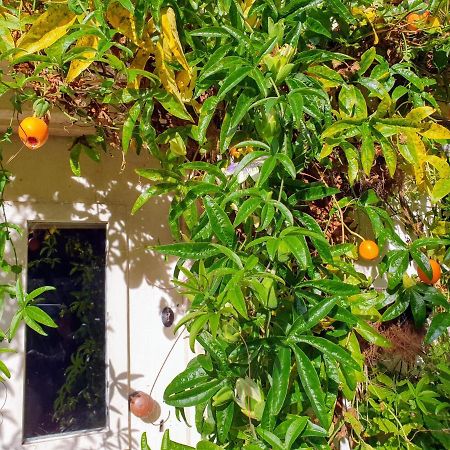 Tracebridge Cottage B&B Stawley Exterior foto