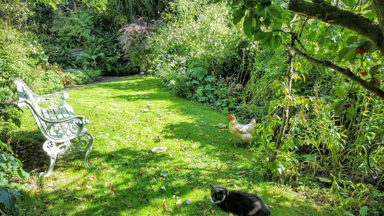 Tracebridge Cottage B&B Stawley Exterior foto