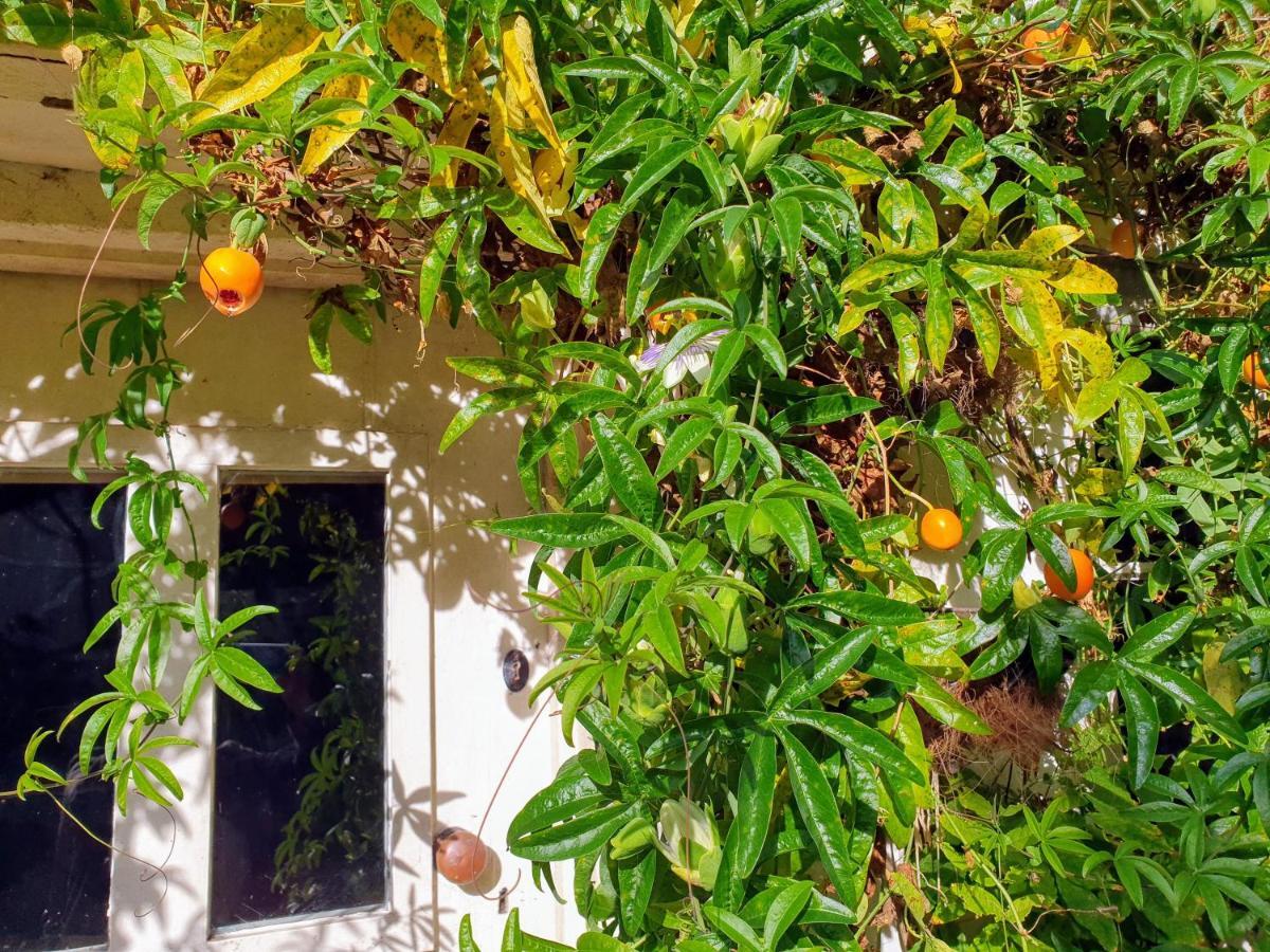 Tracebridge Cottage B&B Stawley Exterior foto